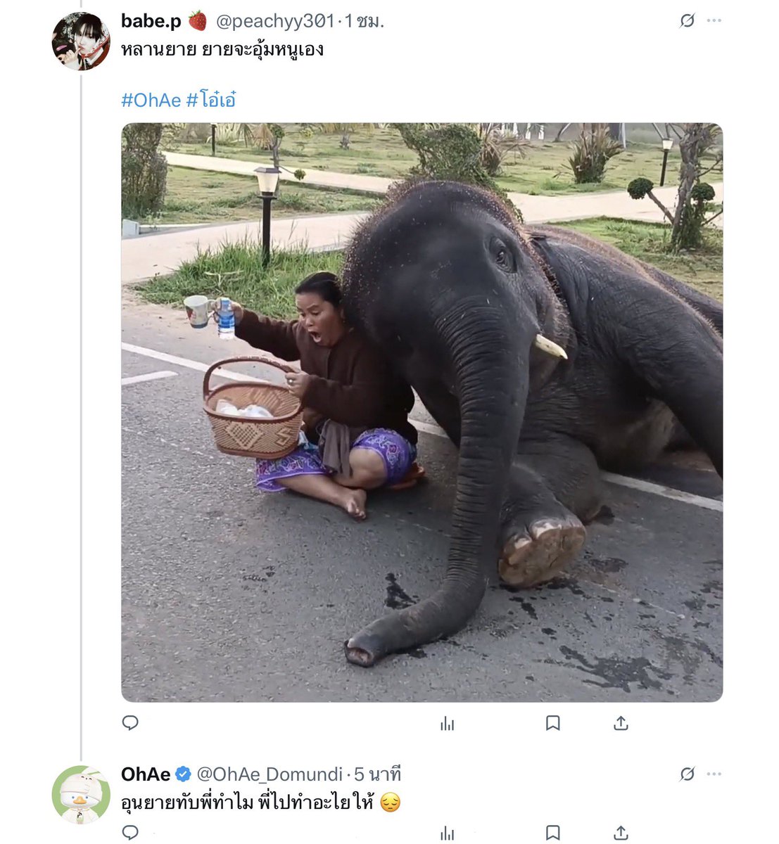 karnnx⋆.˚ 💫 ⋆ tweet media