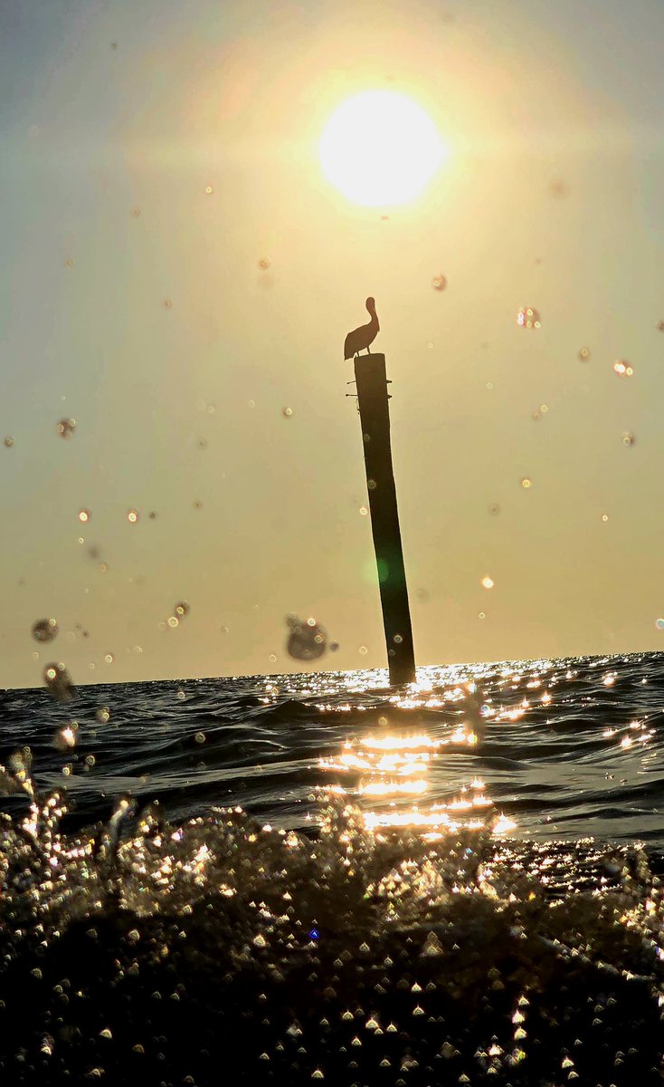 Old and Two tweet media