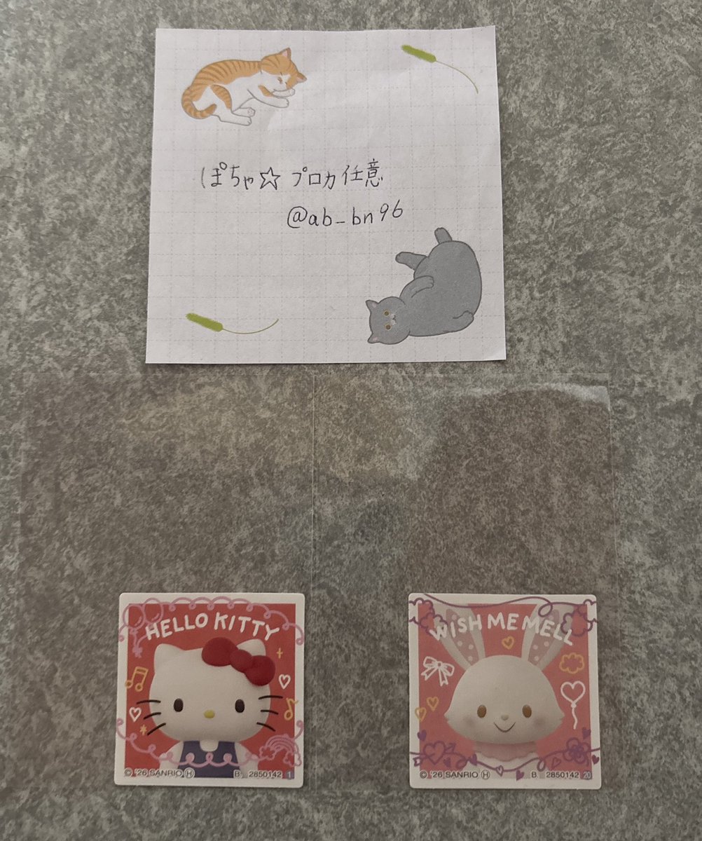 ぽちゃ★プロカ任意 tweet media