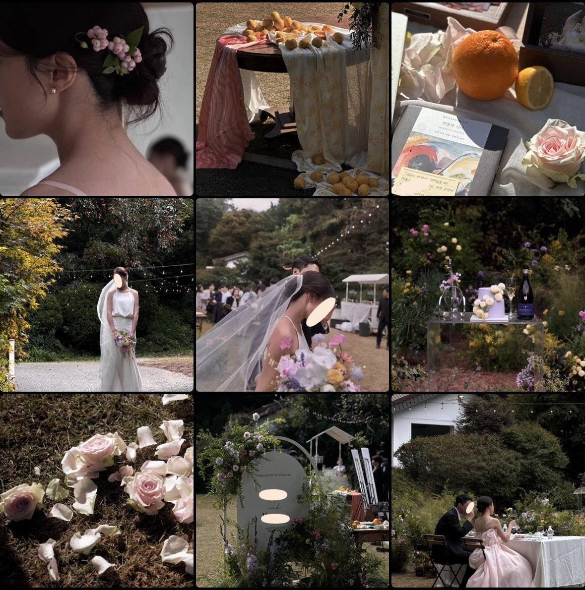 cherryland tweet media