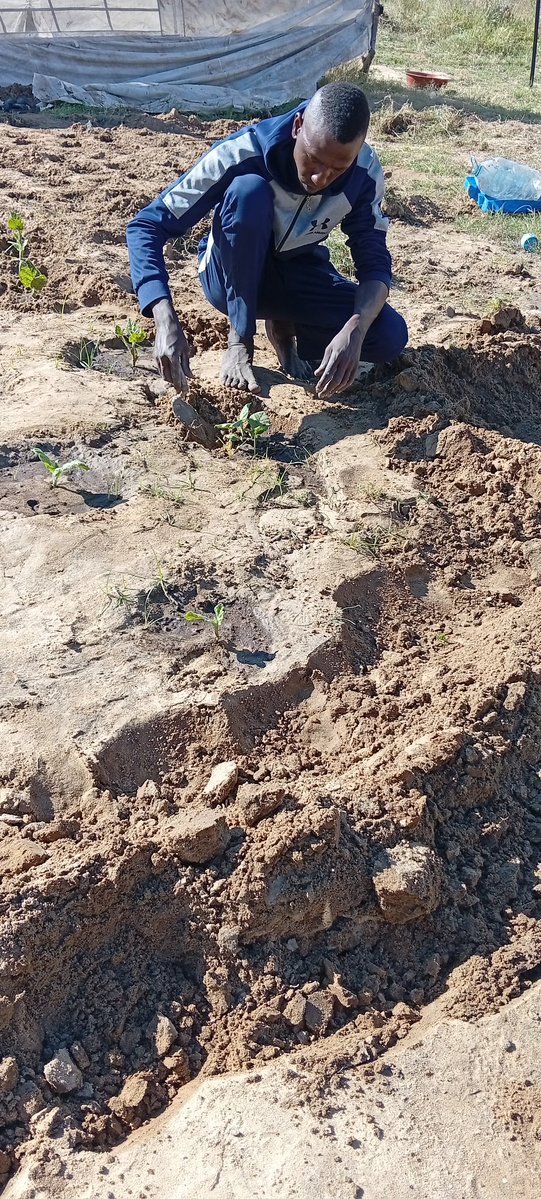 🇵🇸🍉SHADI🇵🇸🍉 tweet media