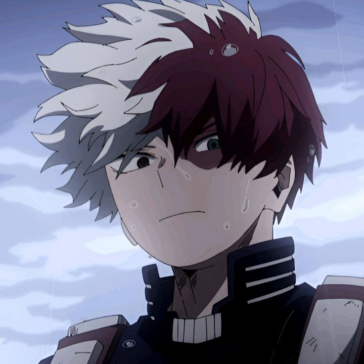 Shoto Todoroki's PR Manager❄️🔥🐈🍜 tweet media