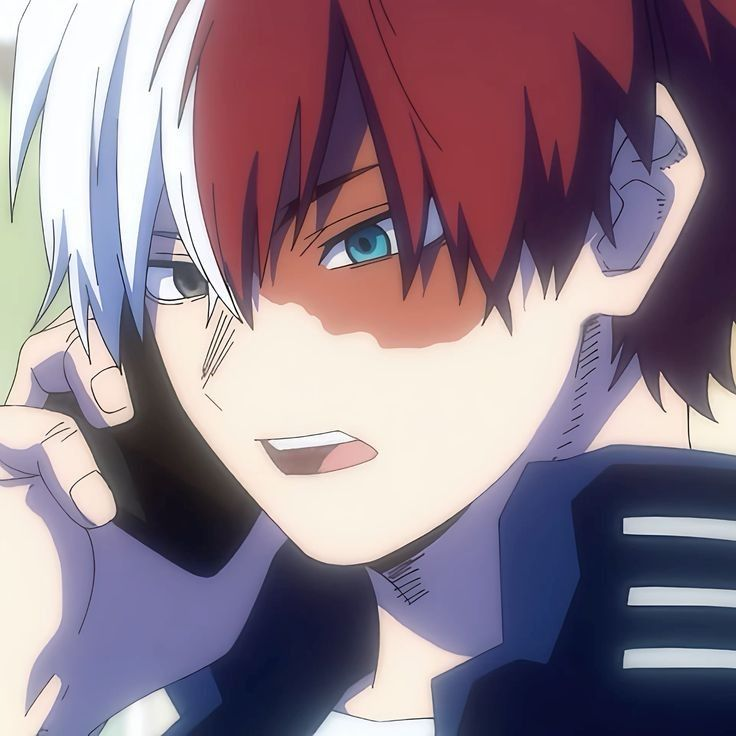 Shoto Todoroki's PR Manager❄️🔥🐈🍜 tweet media