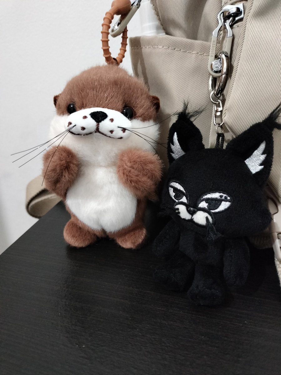 다르🍑🧡 tweet media