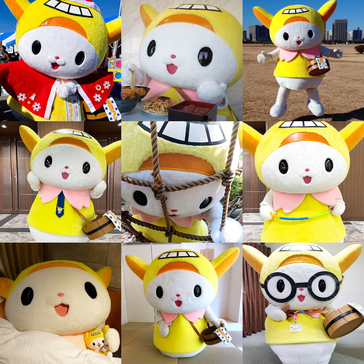 はねぴょん【公式】 tweet media