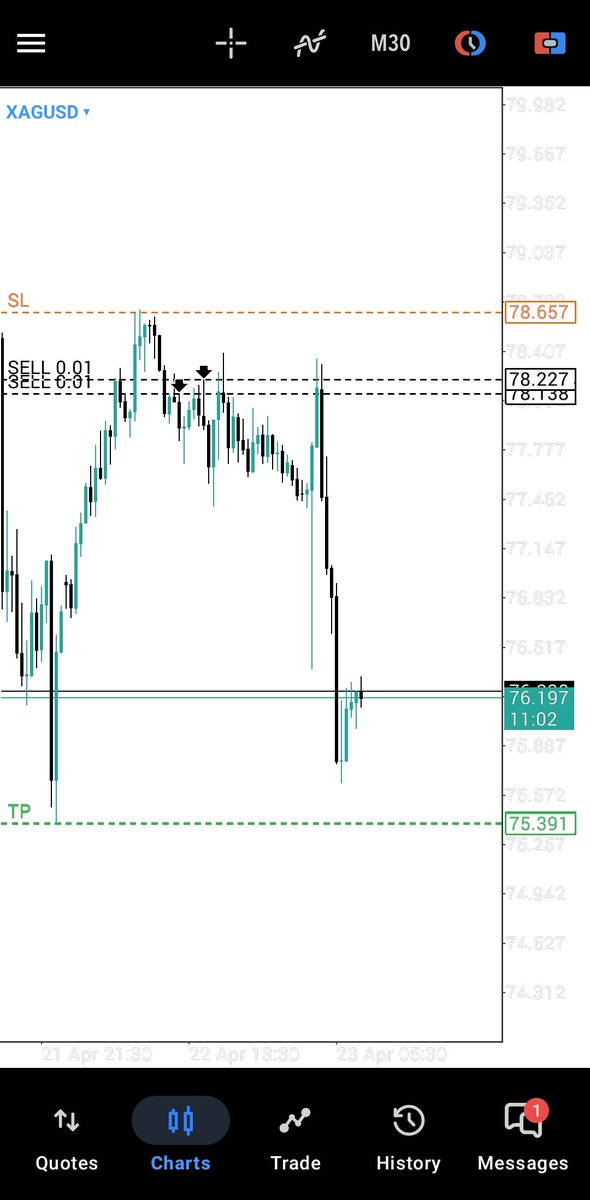 _treasonouscriminal tweet media