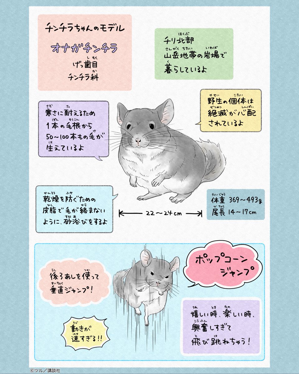 ツイシリ tweet media