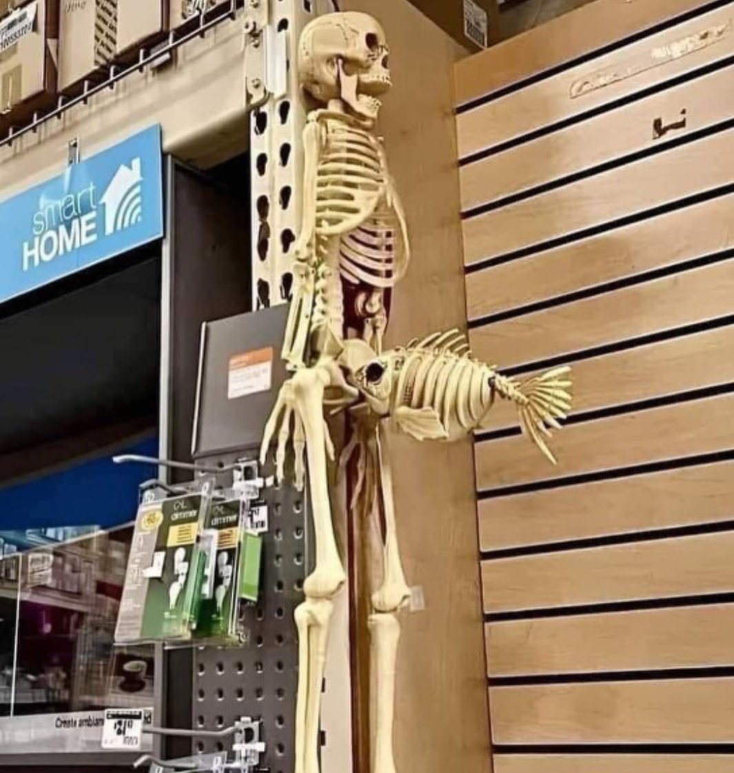 Debojeet tweet media