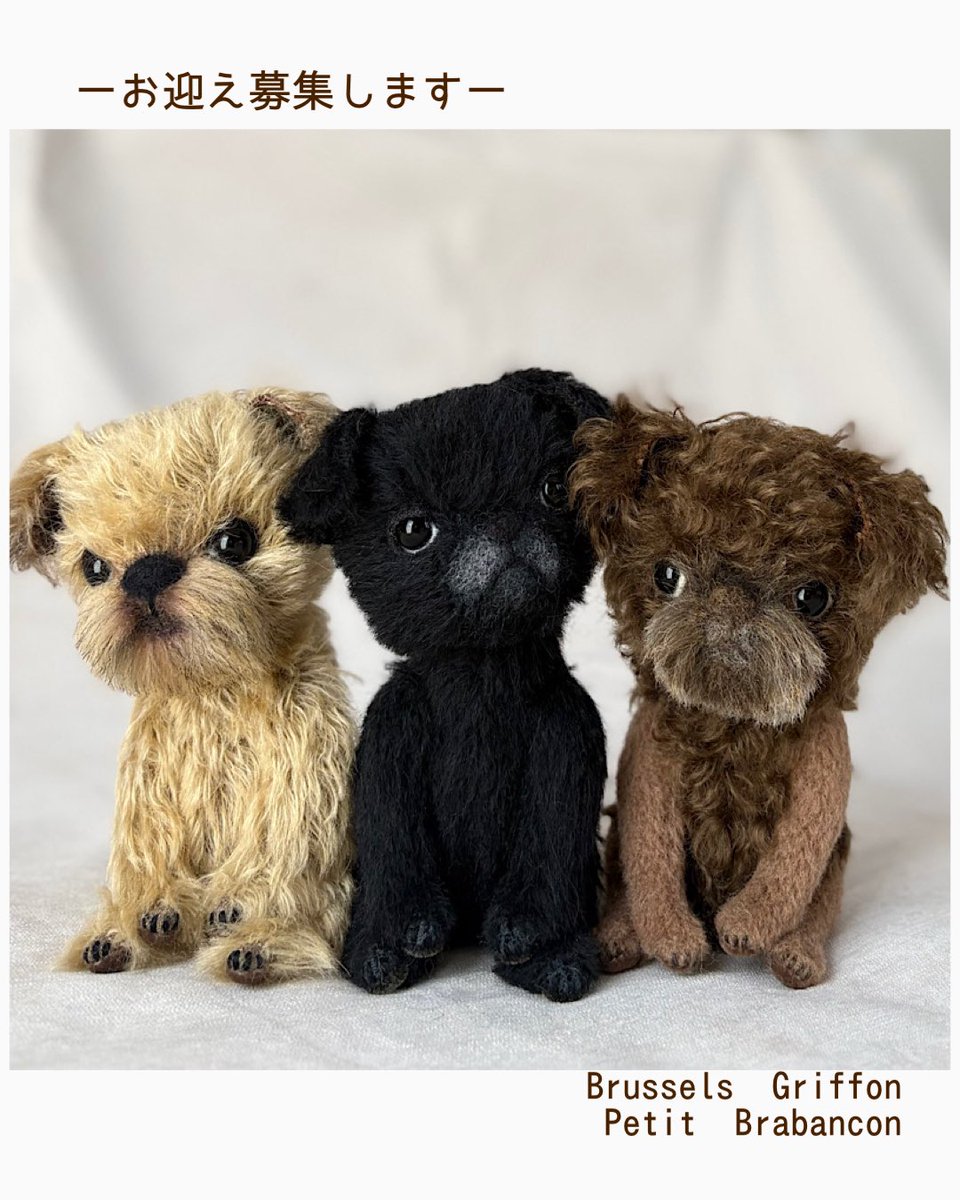 ゆっち mironuts𓀫 tweet media