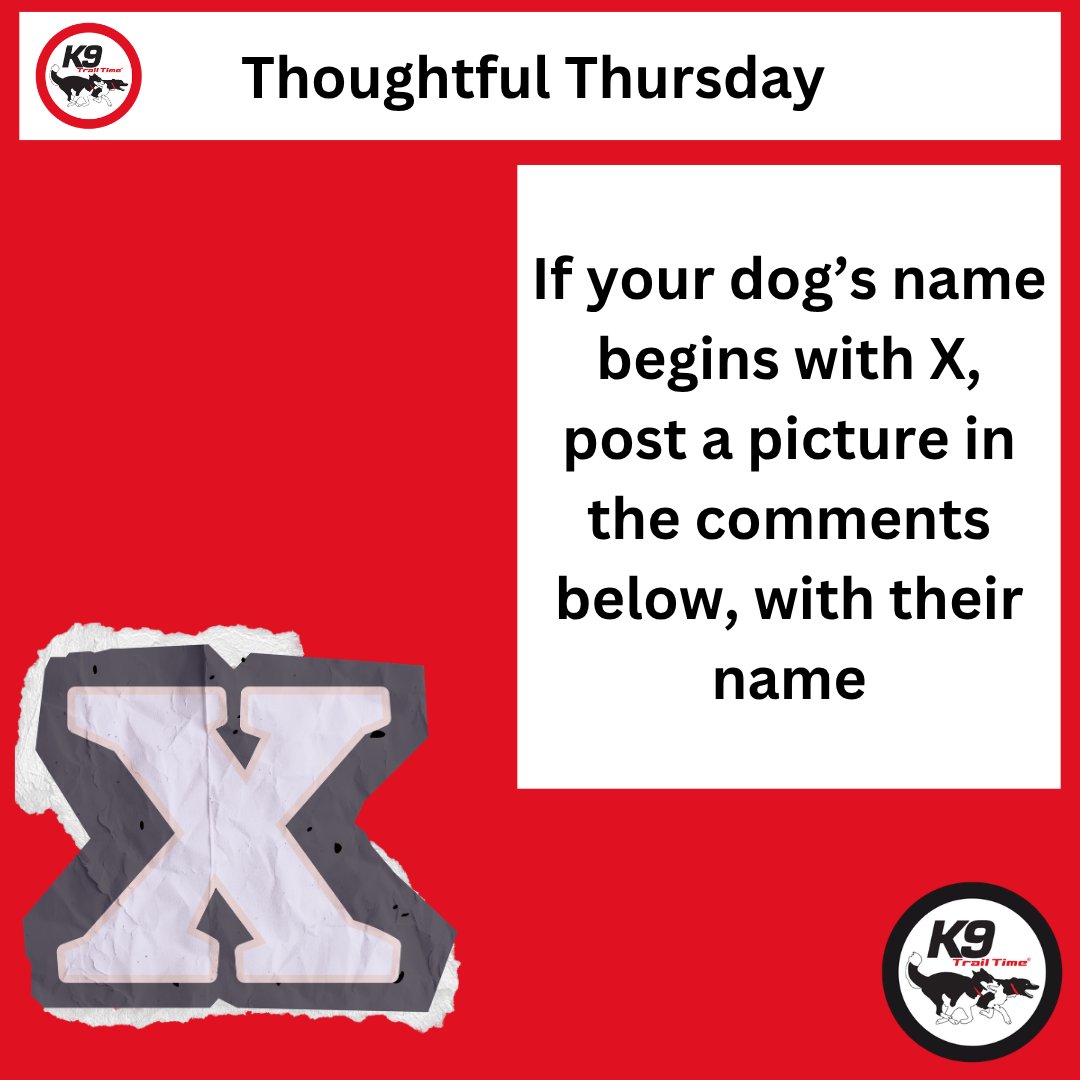 Thoughtful Thursday

✏️It's the Alphabet Challenge

If your dog has a name that starts with ⏩ X

📸 Post a picture of them in the comments
and
🐶 Tell us their name

GO,GO,GO
#k9trailtime#activedogsarehappydogs#canicross#runningwithdogs#canicrossdogs