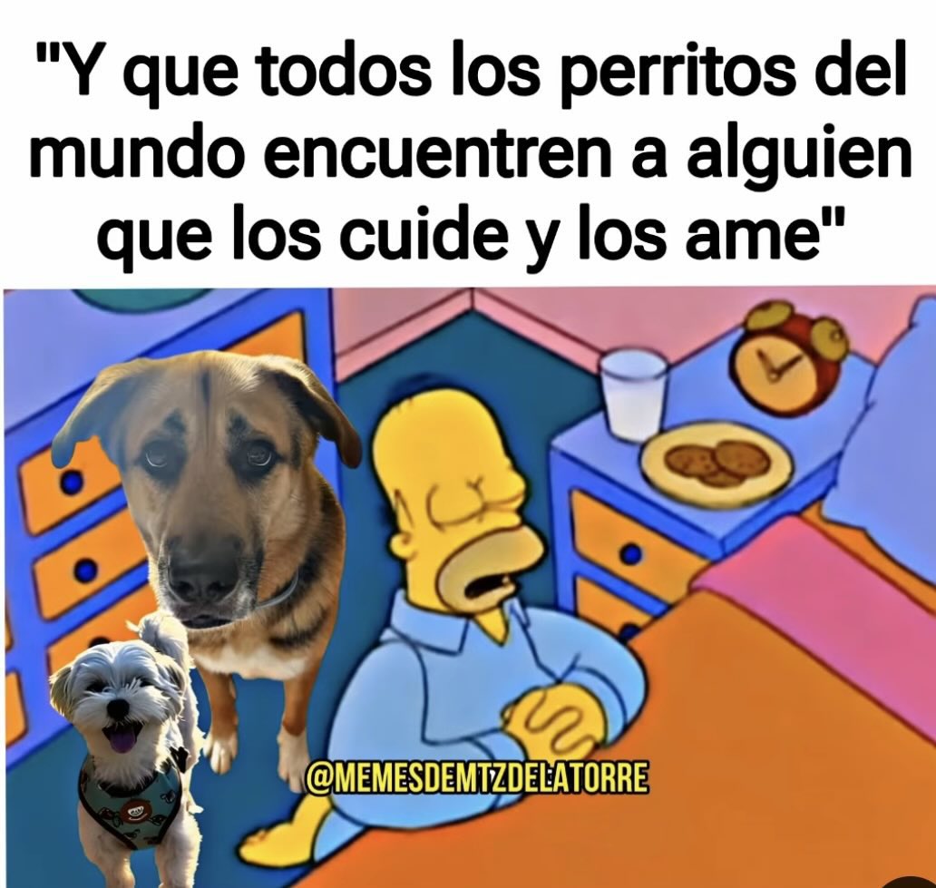 Diosito please 🥹🙏