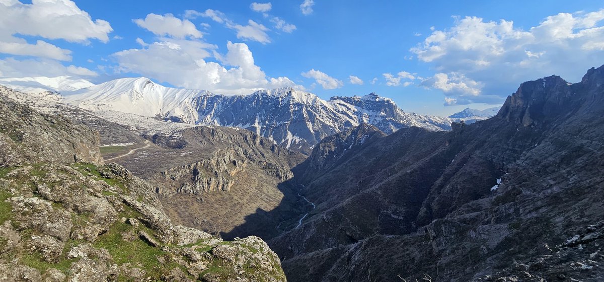 Zilan ☀️ tweet media