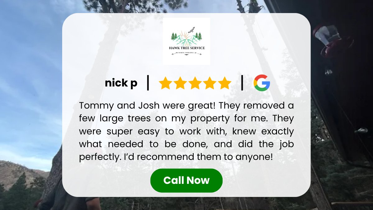HawkTreeService's tweet image. It’s not just about the tree 🌳
It’s about how easy the process feels.
✔️ Clear communication
✔️ On-time arrival
✔️ Simple scheduling
✔️ Clean work
When the process is smooth, trust builds fast.
Get A Free Quote
#TreeService #LocalBusiness #ColoradoSpringsCO