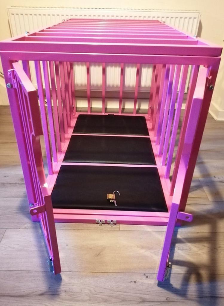 👑kING GURU👑 tweet media