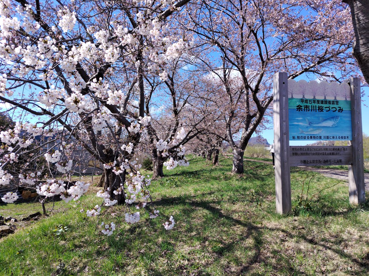 おもりん☆尾森加奈恵 tweet media