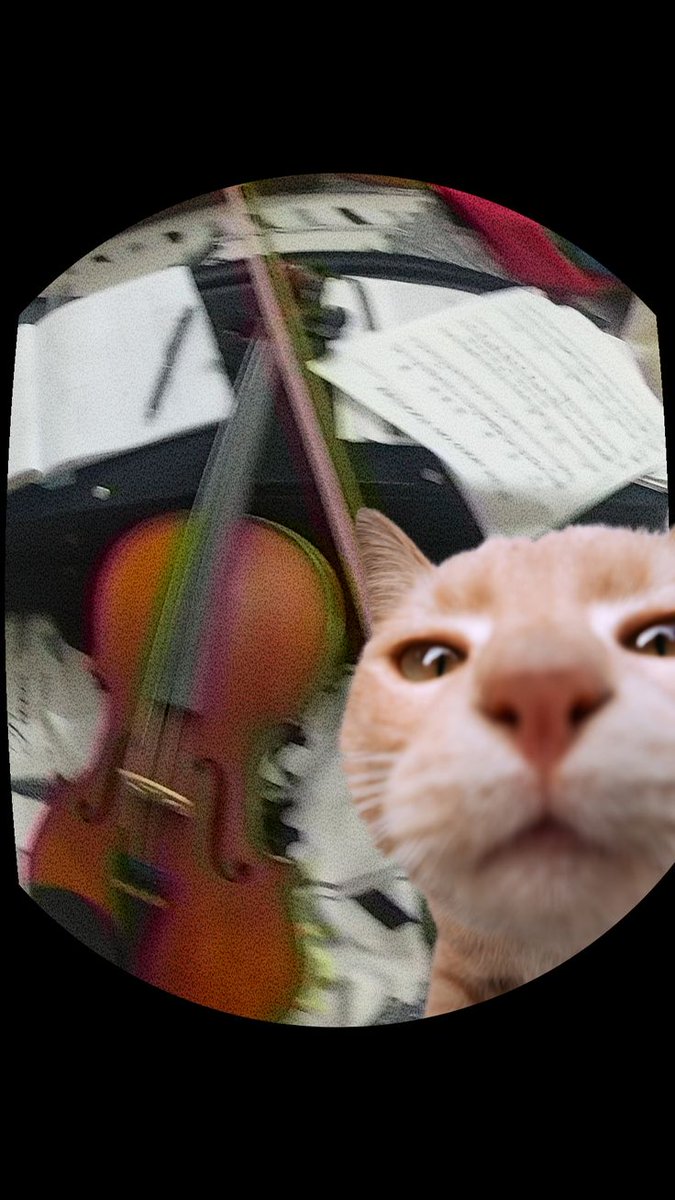 Кёсти 🥃 tweet media