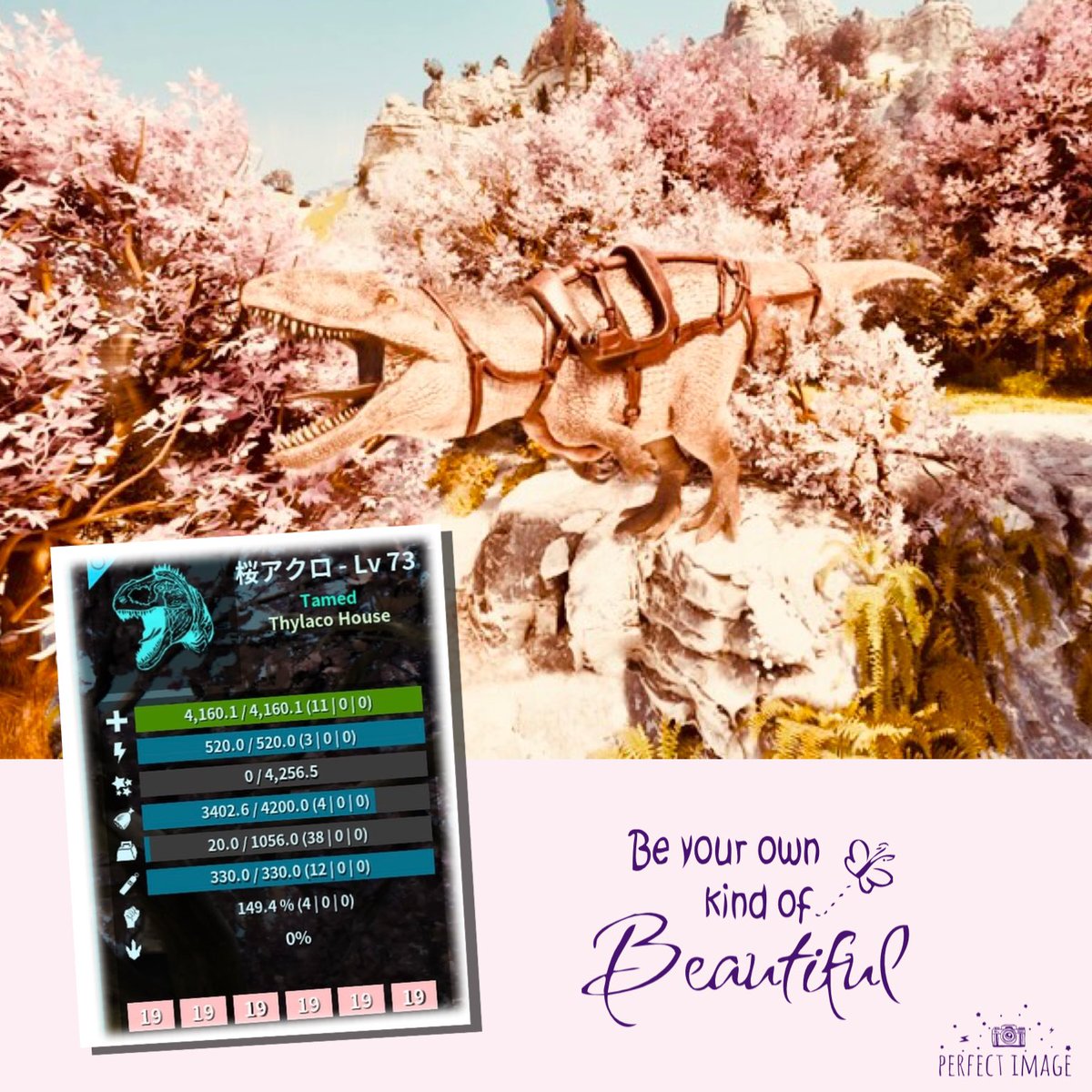 Thylaco_House's tweet image. 桜アクロ大人になりました🌸🫶🌸
満開🌸🌸🌸🌸🌸🌸🌸🌸

初統一は19番でした🌸

見てるだけで酔いしれちゃう綺麗な子🥺
黄桜🍶🌸

#ARK
#ASA
#ArkSurvivalAscended