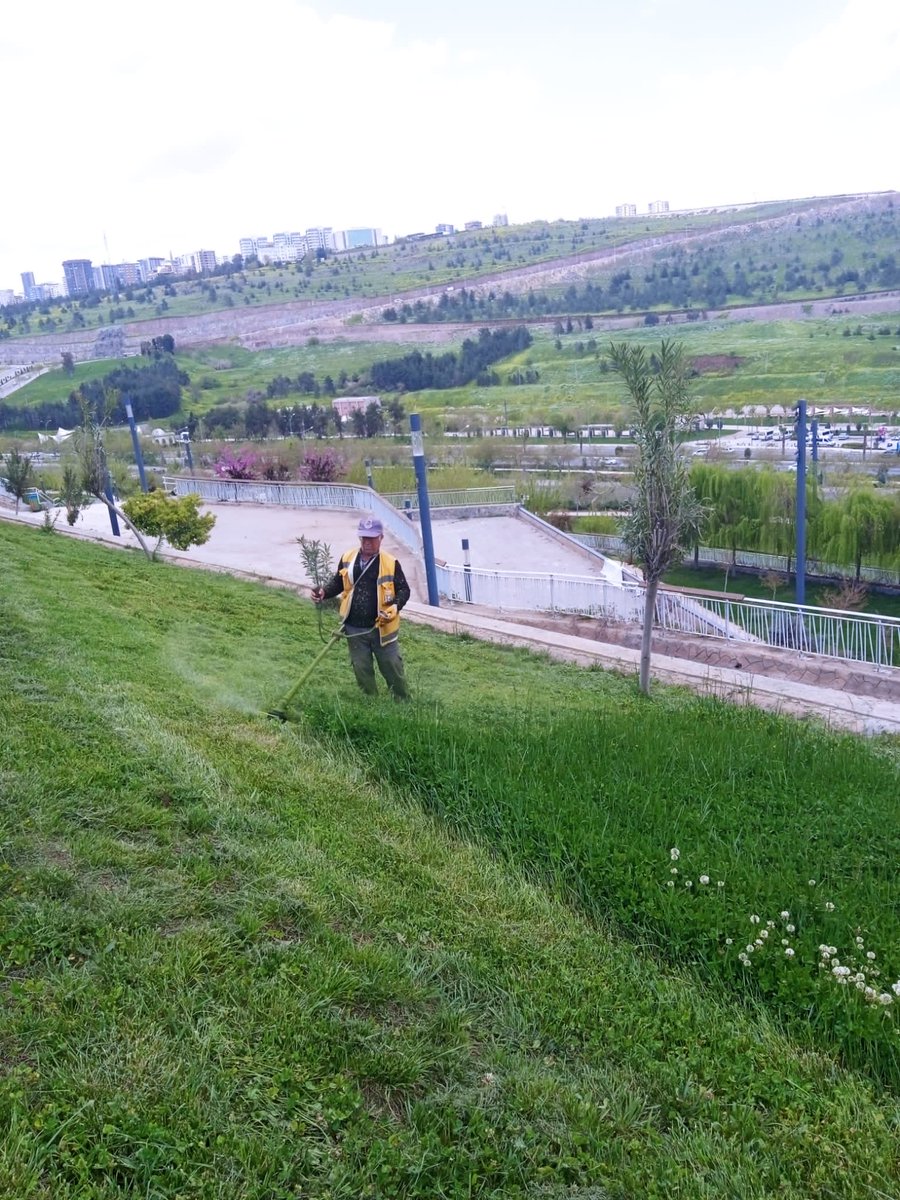 ŞBB PARK VE BAHÇELER 🇹🇷 tweet media