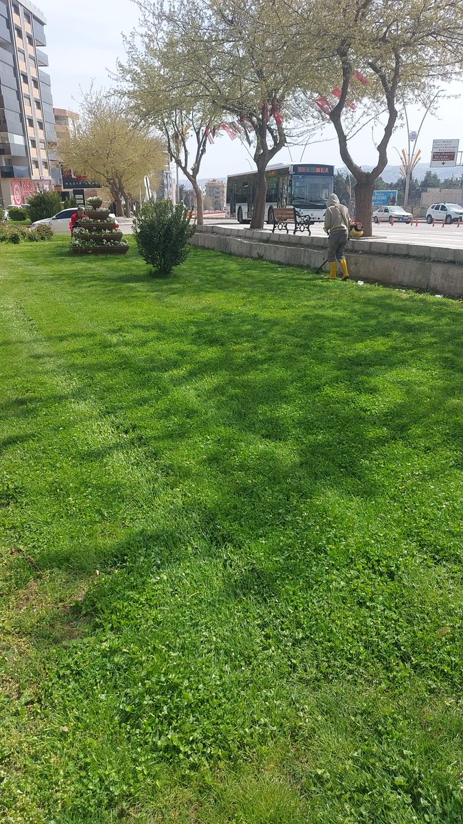 ŞBB PARK VE BAHÇELER 🇹🇷 tweet media