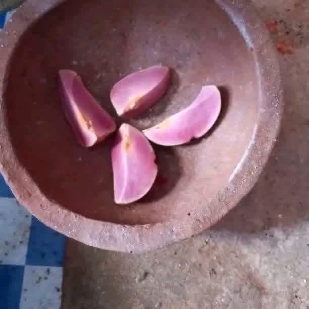 O.R.A.C.L.E 🪬🕊️ tweet media