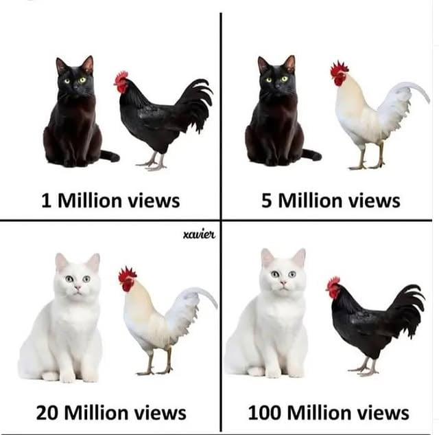 Favourite tweet media