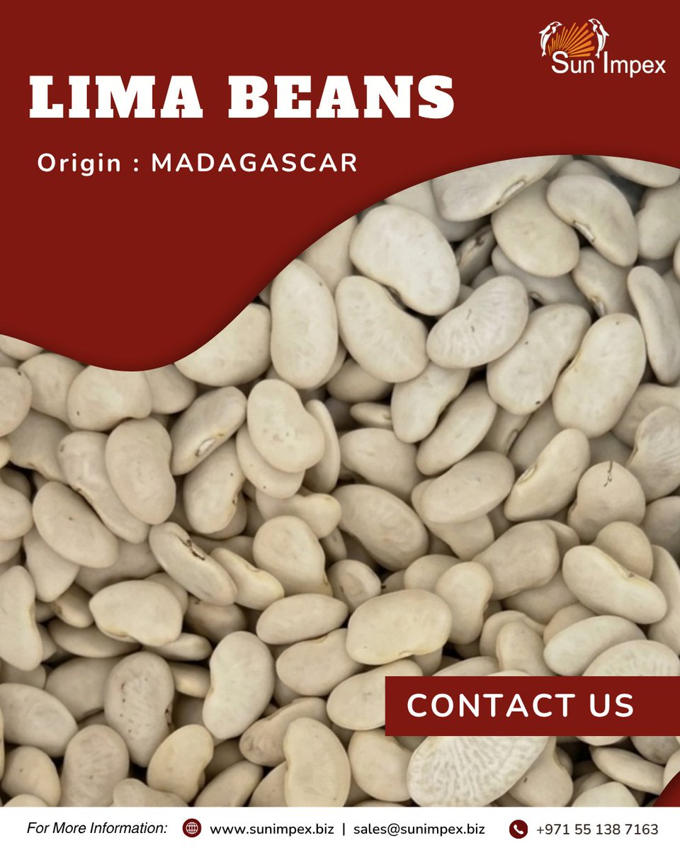 Sun_Impex's tweet photo. Lima Beans - Madagascar origin.

📞 Contact: +971 555 8711 63
📧 Email: sales@sunimpex.biz
🌐 Visit: https://t.co/y1nMDESkva 

#sunimpex #agro #importexport #limabeans https://t.co/maYGSQ3rUV