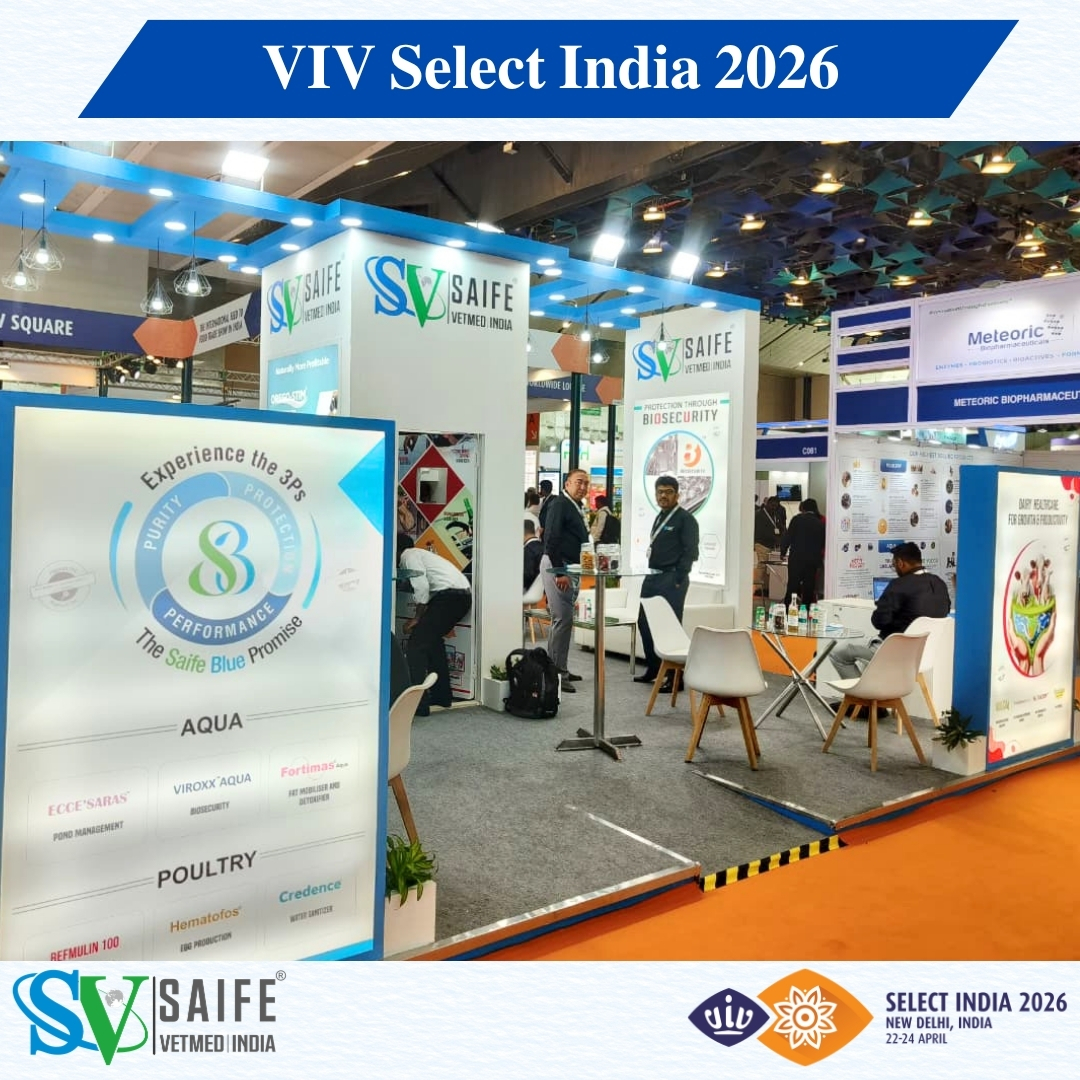 LtdSaife's tweet image. Day 1 at VIV Select India 2026, Yashobhoomi.

Great start with strong industry interactions and discussions around biosecurity and animal health.

Visit us at Hall 1, Stall C071
For More Details: saifevetmed.com

#VIVSelectIndia2026 #AnimalHealth #Biosecurity #Saifevetmed