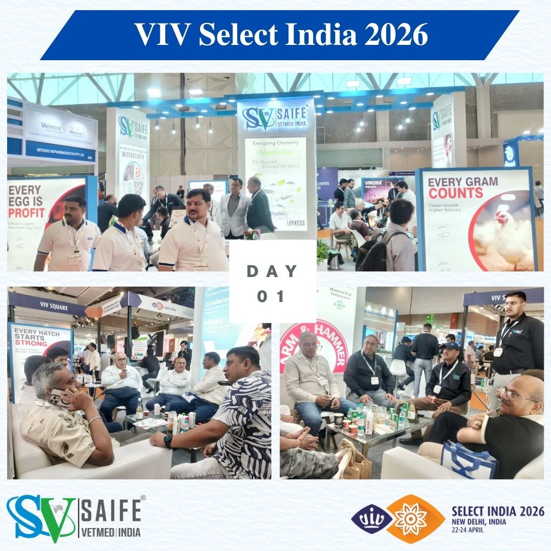LtdSaife's tweet image. Day 1 at VIV Select India 2026, Yashobhoomi.

Great start with strong industry interactions and discussions around biosecurity and animal health.

Visit us at Hall 1, Stall C071
For More Details: saifevetmed.com

#VIVSelectIndia2026 #AnimalHealth #Biosecurity #Saifevetmed