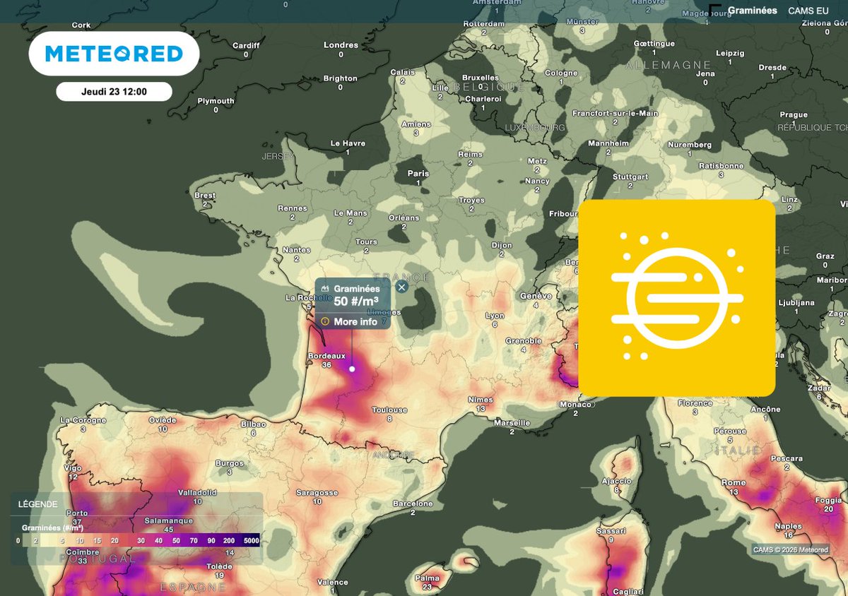 MeteoredFR's tweet image. 🤧 #Météo en #France : explosion des pollens en prévision ? Voici les infos mises à jour.

Florian Pasiecznik ⤵️
tameteo.com/actualites/pre…