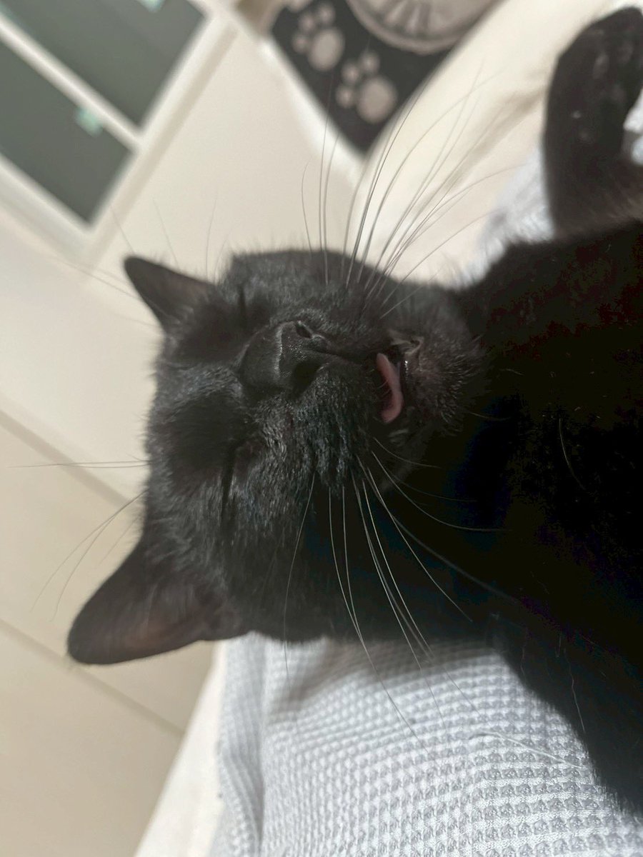 けとし tweet media