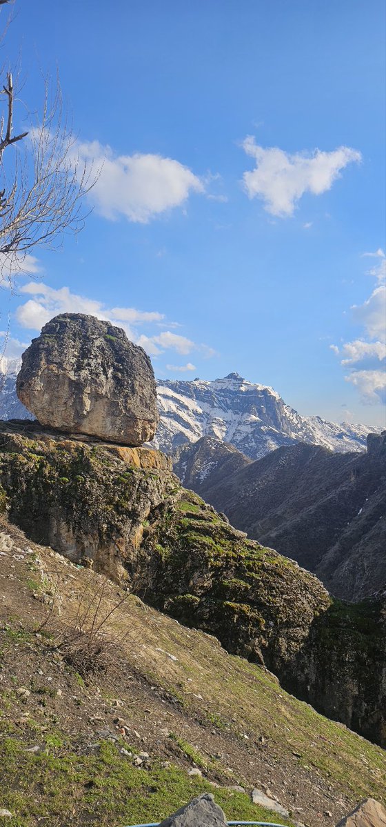 Zilan ☀️ tweet media