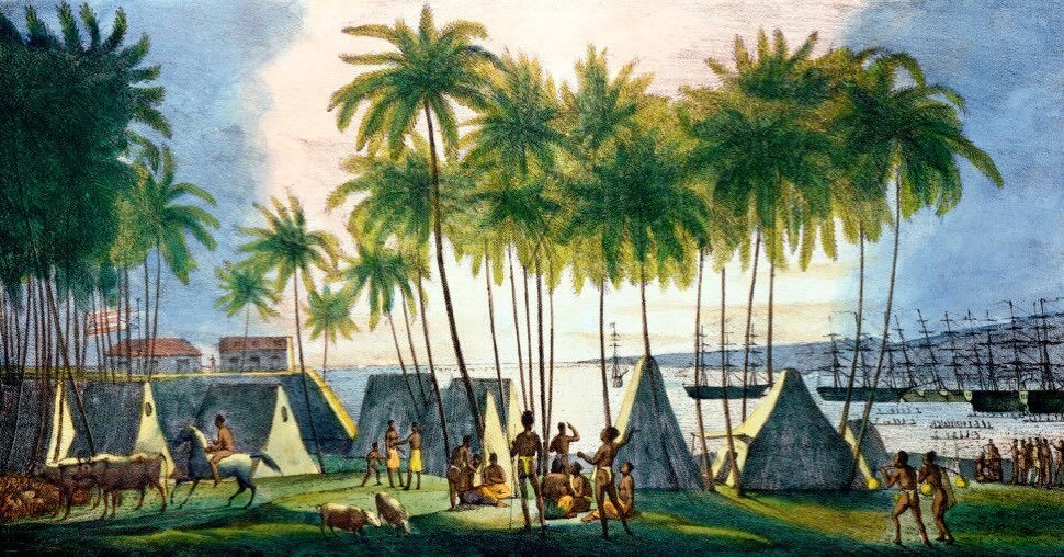 CarmencitaB's tweet photo. 🇺🇦 Port of Honolulu, Louis Choris (Dnipro 1795-1828) 🇺🇦 #ukraine #ukraineart #ukraineartist #славаукраїні https://t.co/ItoxTIfSRH https://t.co/kNJAoEUnlX