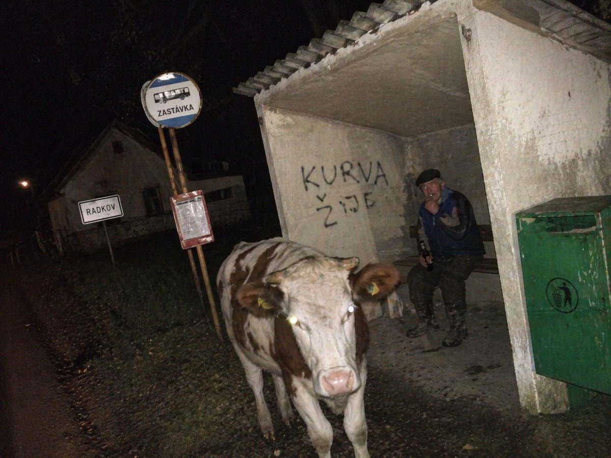 Jan Zhor tweet media