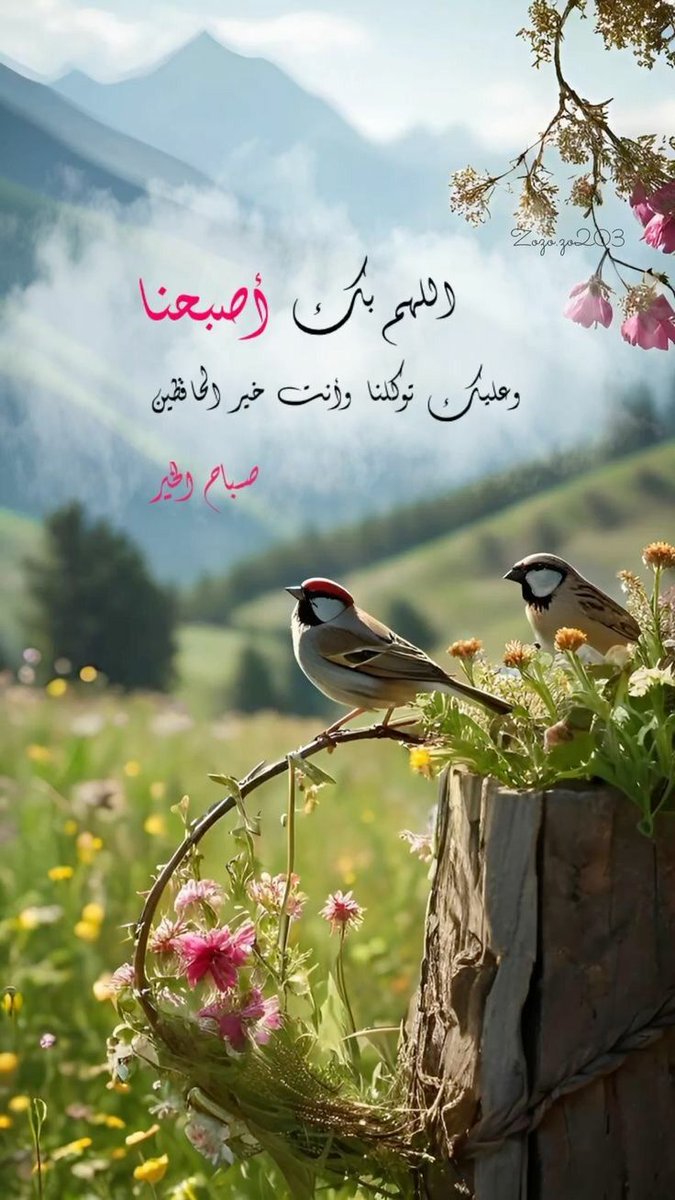 #صباح_الاشياء_المشرقه