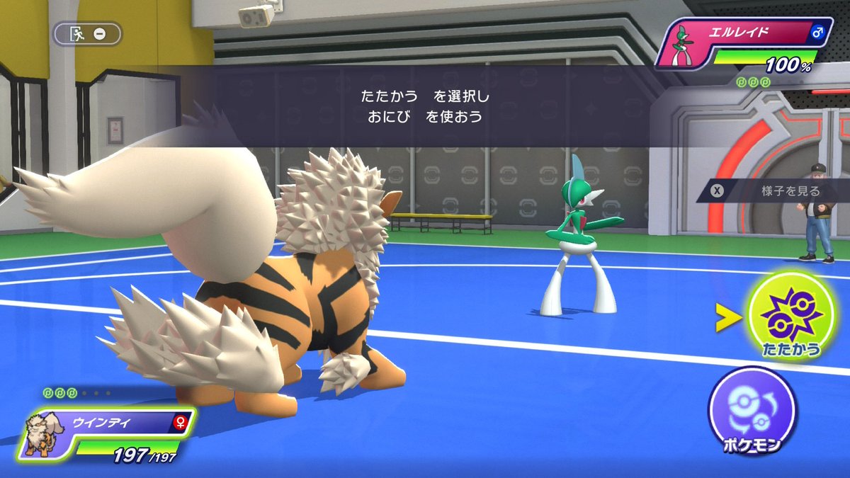 ポケモン速報 tweet media