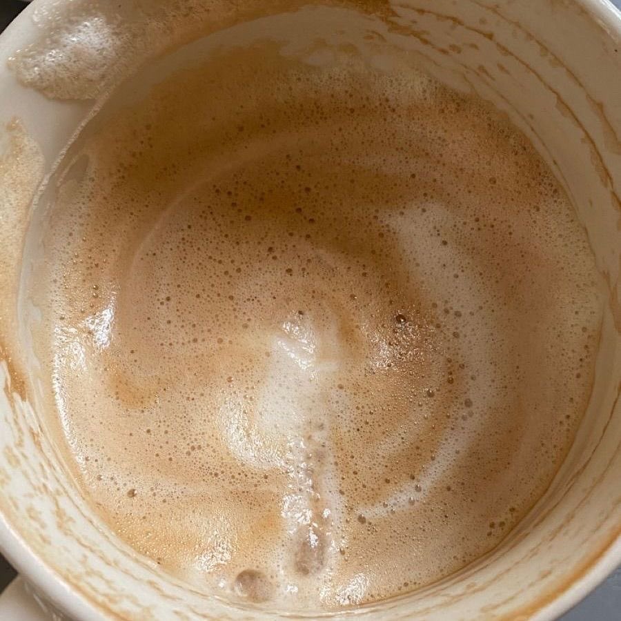 Lizzie 🦎 tweet media