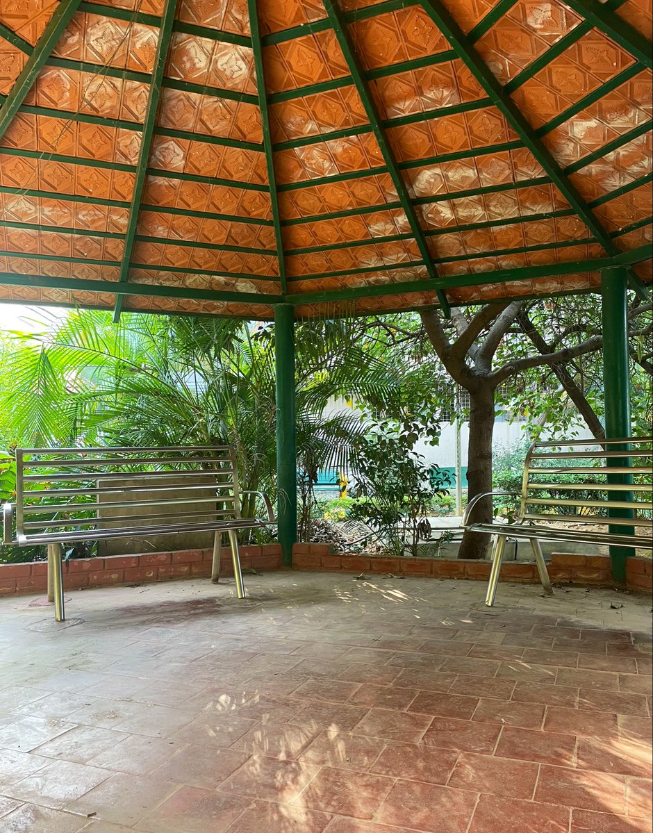DailyBlrClicks's tweet image. Shelter @ BBMP Park 

#Bangalore #Bengaluru #BLR