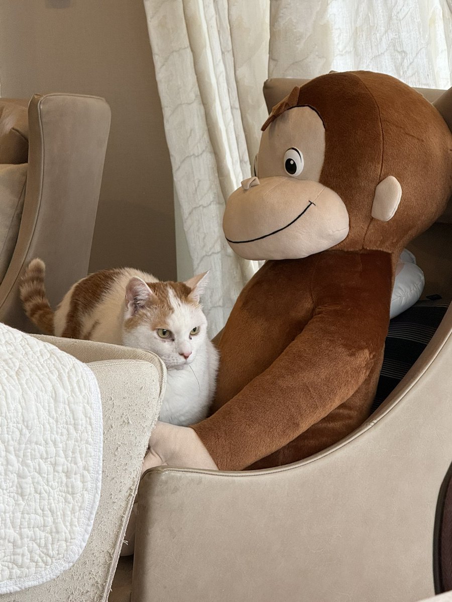 かずこ tweet media