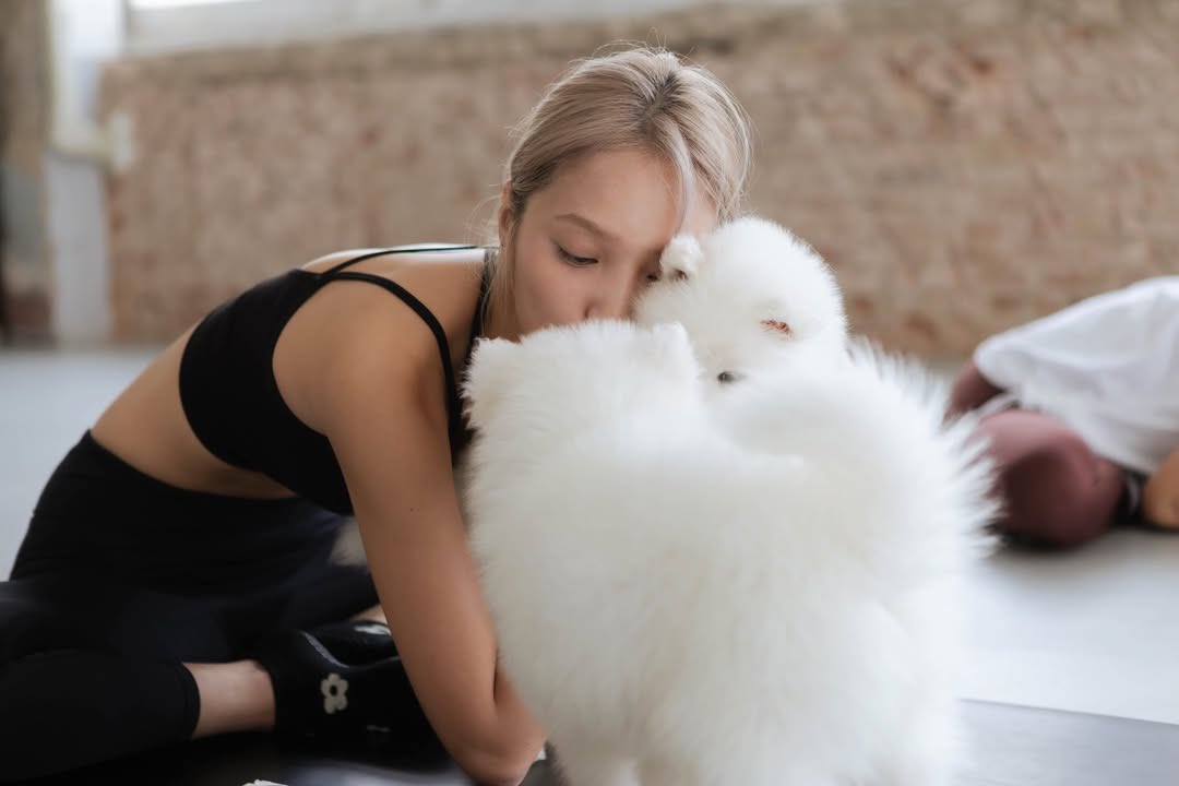 JANHAE UPDATE 💜 (1/2)

🐶🫶🏻

🖇️ instagram.com/p/DXddKPPk-Z2/…

#JANHAE #JANIVERSE