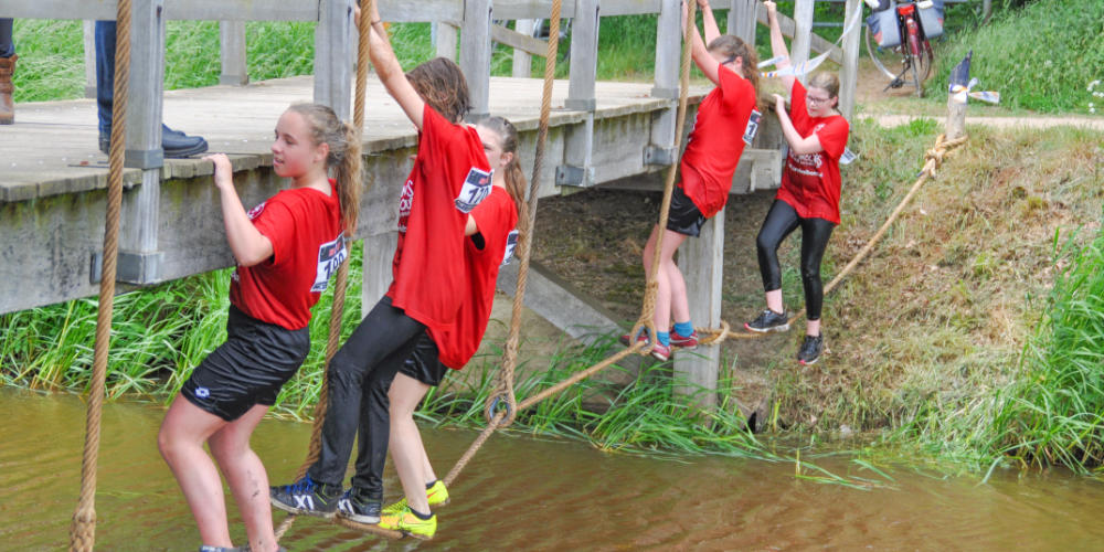 De Neije Krant Mill tweet media