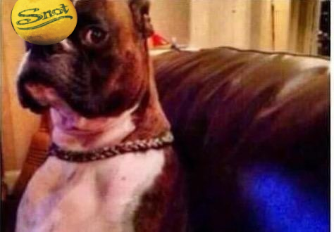 crazy ass moments in nu metal history tweet media