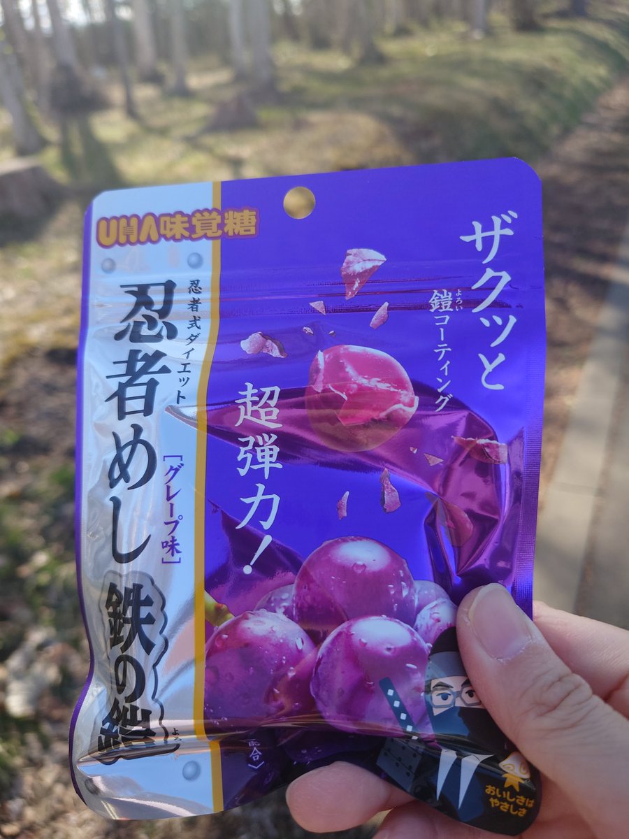 doku0nna's tweet photo. ぜぇーんぜんツイートしてないしTwitterも数日に一回とかしか開かなくなった🥺
昨年探しまくって結局見付からなかった忍者めし鉄の鎧、思いがけず見付けて買ってみた！
忘れた頃にやってくる(笑) https://t.co/RNUvFDQ2kJ