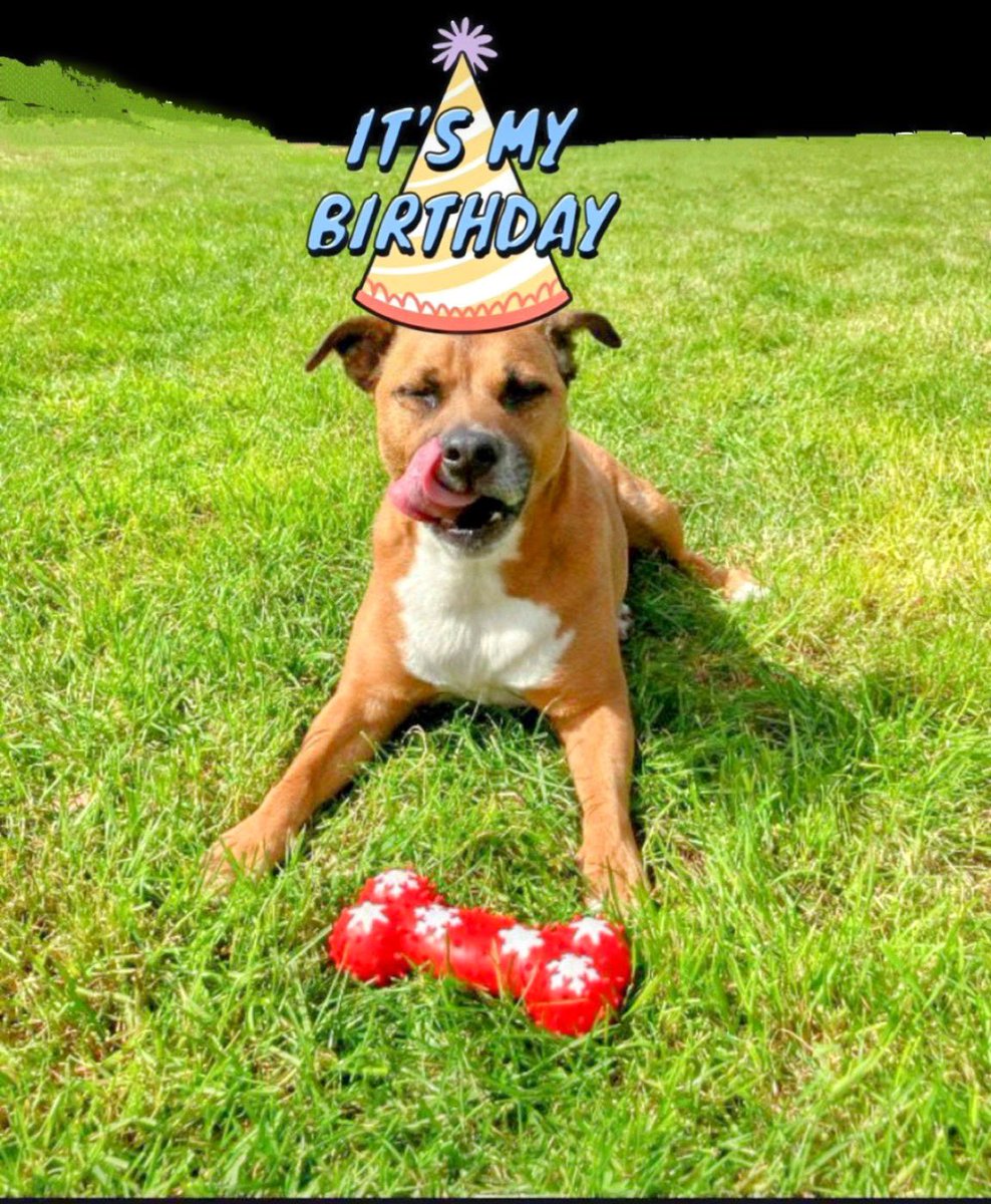 karen thompson tweet media