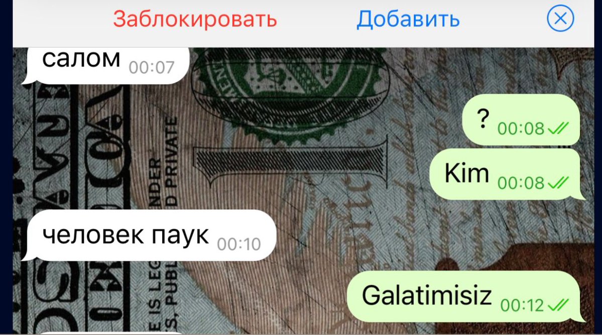 твоя подружка tweet media