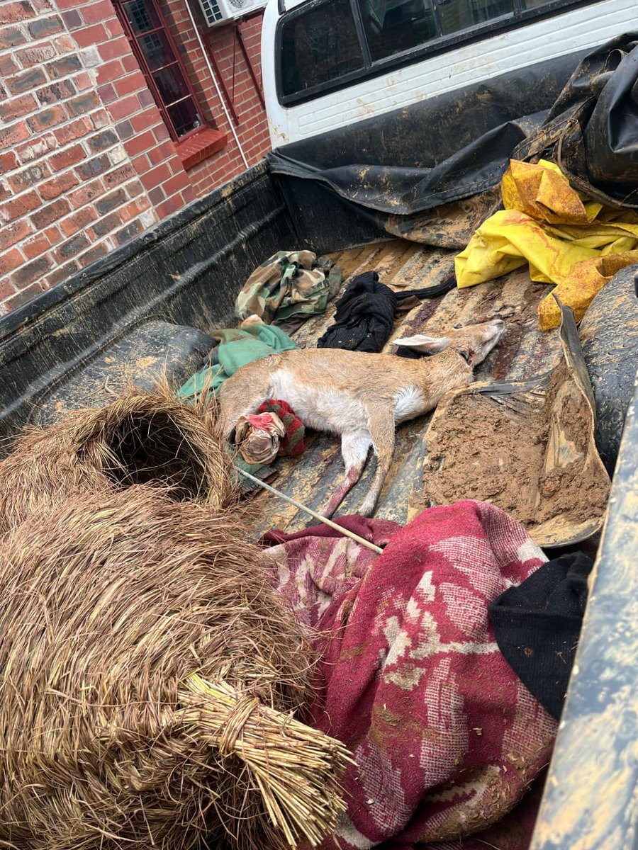 _ArriveAlive's tweet image. Police in Badplaas in Mpumalanga have arrested two suspects for possession of live ammunition, stock theft, and illegal hunting

arrr.co.za/ZeBAR

#ArriveAlive #Crime @SAPoliceService