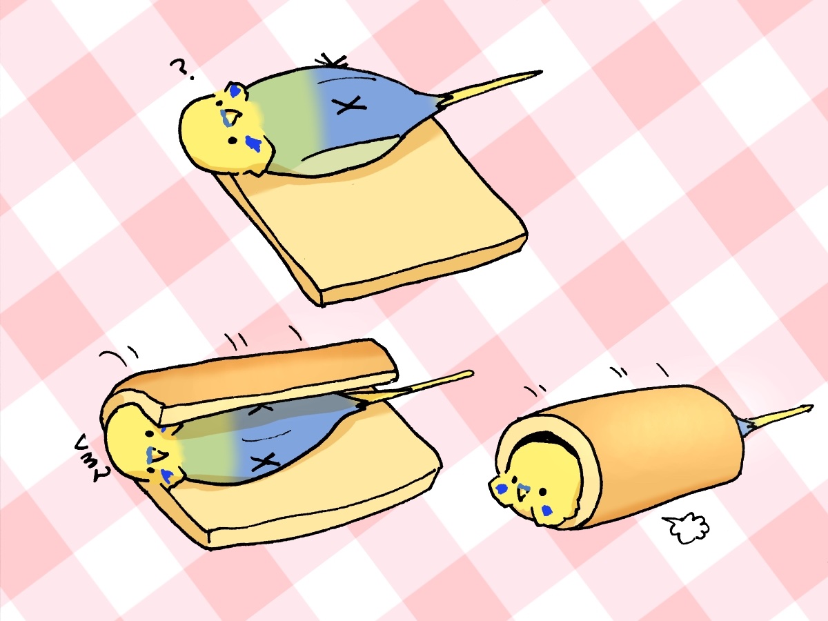 インコのりんちゃん君 tweet media