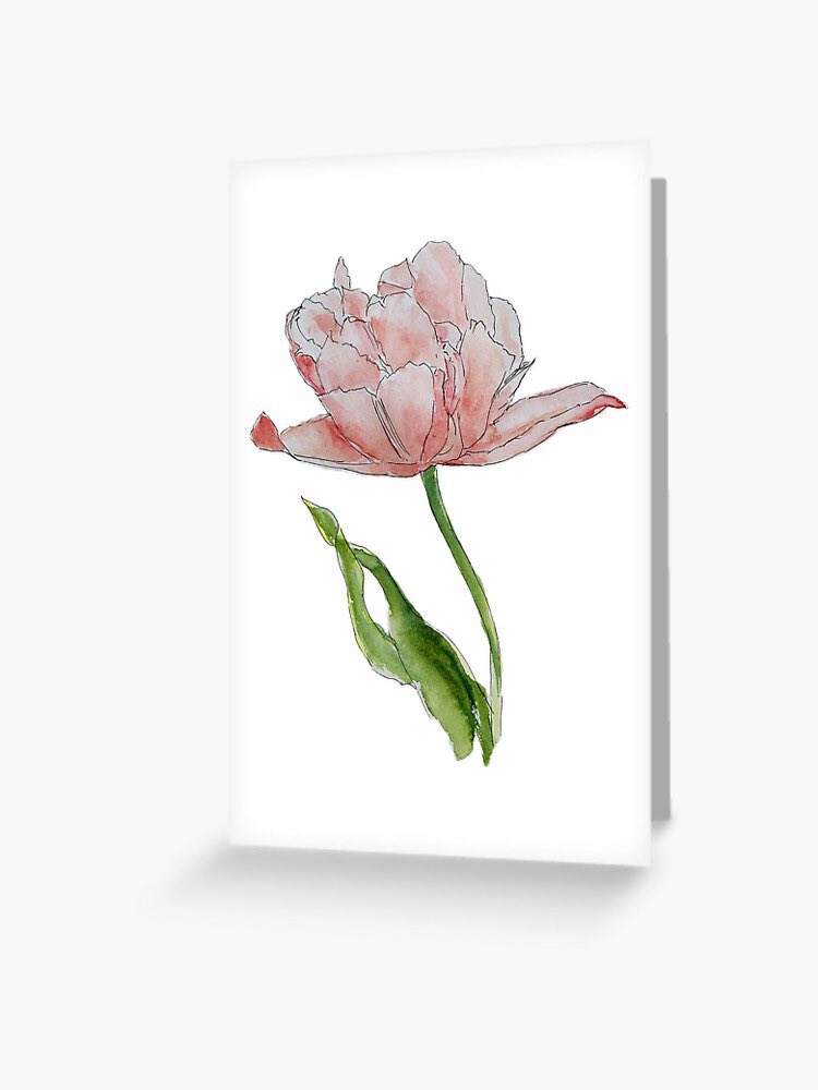 Silver Tabby Studios tweet media