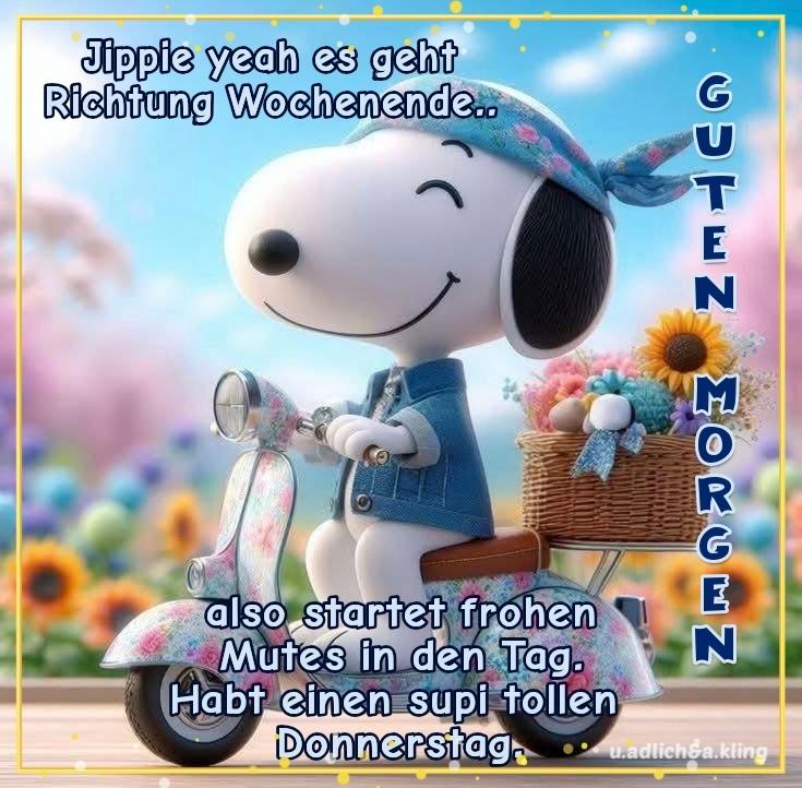 Ina 🙋🏼‍♀️🌻 tweet media