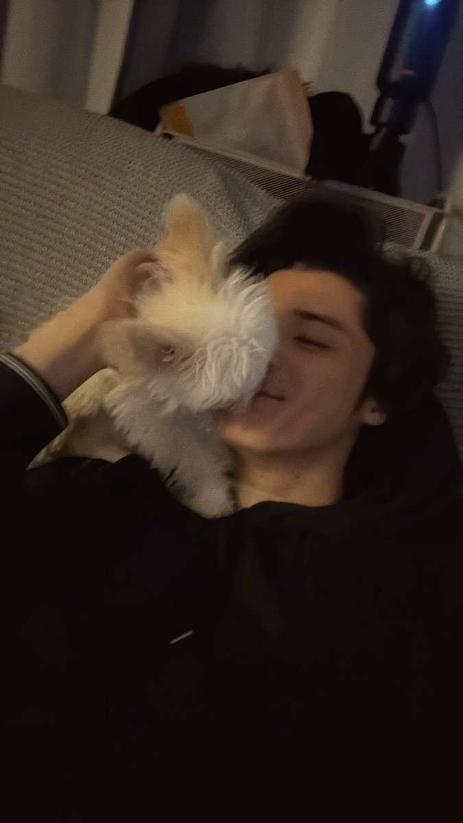 スタンミじゃぱん tweet media