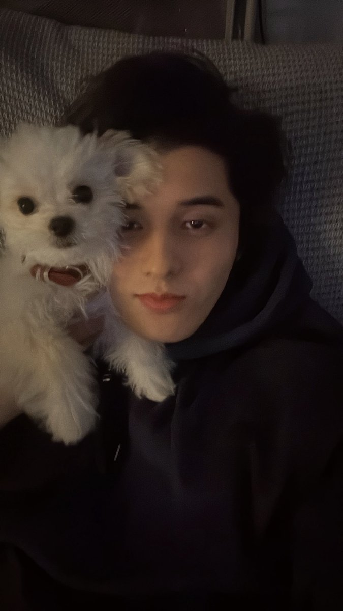 スタンミじゃぱん tweet media